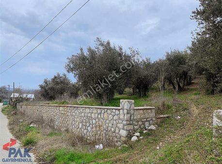 İpekyayla Anayola Cephe Manzaralı Emsalsz Kupon2901m²frsat Arazi