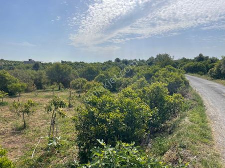 Aslan'dan Elvanlı'da 1.852 M2 Müstakil Tapulu Bahçe