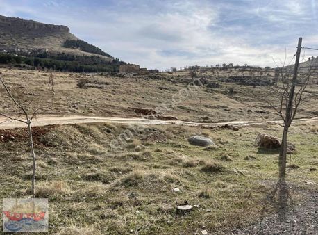 Acil Fırsat Emsalsiz Arsa Liman'da