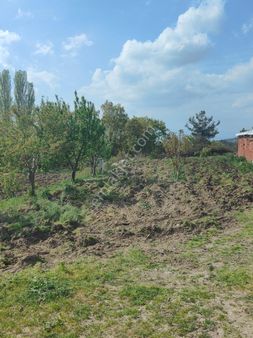 Bayındır Gayrimenkul - Izmir Kınık Yaylaköy Satılık Tarla