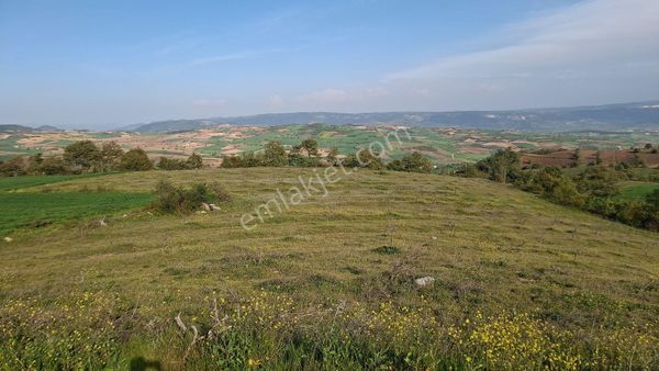 Yenişehir Aydoğdu Köyünde 17540 M2 Tarla