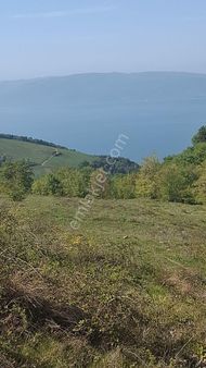 Yenişehir Kirazlı Yayla Mah.de Göl Manzaralı 13222 M2 Tarla