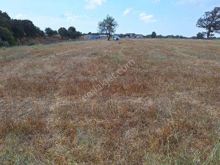 Tekirdağ Saray Küçükyoncalı Mh Satılık Tek Tapu Tarla