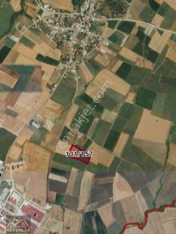 Bandırma Ömerli Köyü Satılık Tarla