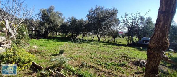 Arden Gyo'dan Menderes Kısık Girişinde İmarlı Arsa