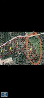 Arden Gyo'dan Kavakdere Orhanlı Yol Ayrmında Köy İçi İmarlı Arsa