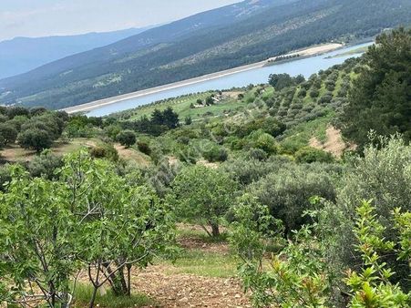 Karacasu Dereköy Yakını Baraj Manzaralı Zeytin Ve İncir Bahçesi