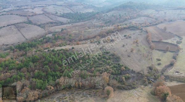 Çanakkale Dondurma Köyünde Tepe Mevkide 43.222 M2 Satılık Tarla