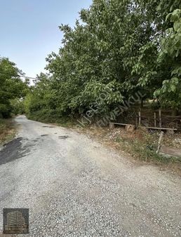 Kazdağı Etekleri Eskiyayla'da 1265m2 Köy İçi İmarlı 2565m2 Arsa!