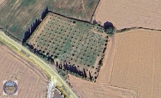 Satılık Fırsat Arazi Muğla Milas Ören Mahallesinde