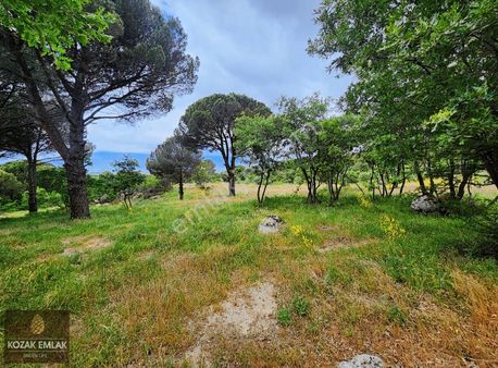 Bergama Kıranlı Tarım İmarlı 40 Dönüm Çiftlik Arazisi Satılık