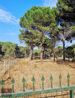 Kozak Emlak Bergama Hisar Köy Tarım İmarlı Tarla Satılık