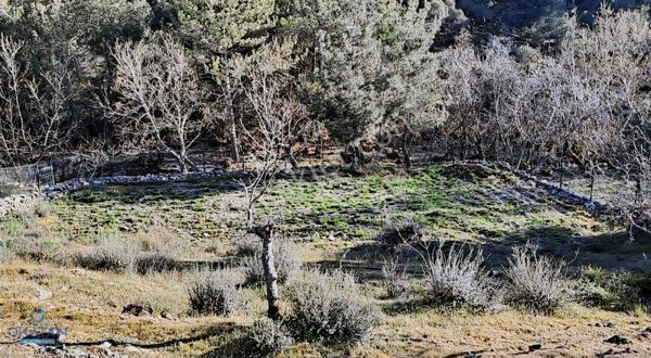 Sakallı Mahallesi Dere Kenarında Satılık Bahçe.