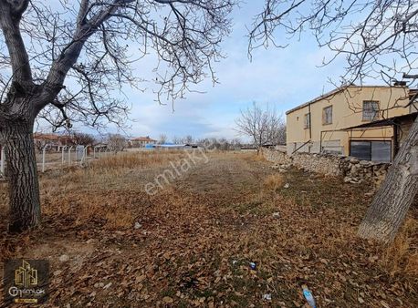 Cm Emlak Bahçeli Yunak Cami Karşısı 1465 M2 Bahçe İmarlı