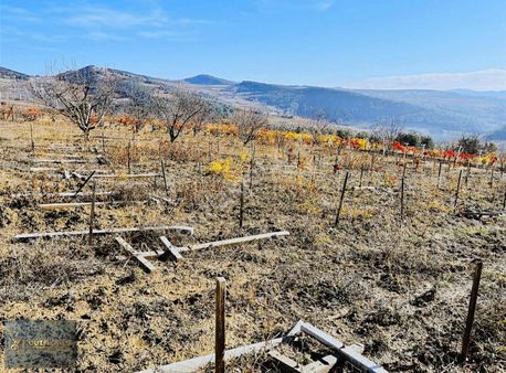 Sakarya Geyve Sekiharman Satılık Göl Manzaralı Üzüm Bağ