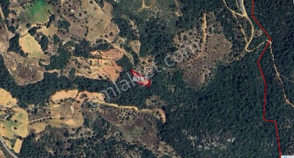 Elvan Özçelik'den Dağpınarında Satılık Akbük Koyuna Yakın Tarla