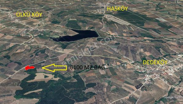 Mudanya Dedeköy Bağ Nitelikli 6100 M2 Kıymetli Arazi