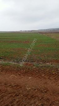 Kızılcaören Mahallesinde Eskişehire 25 Km Uzaklıkta