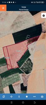 Kutören İmamtömbeginde Satılık 84 Dekar Sulak Tarla Öğütlü Emlaktan