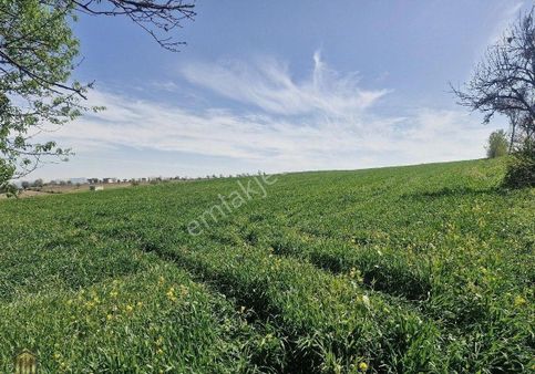 Anıt Emlaktan Doyran Mahallesinde Satılık Tarla