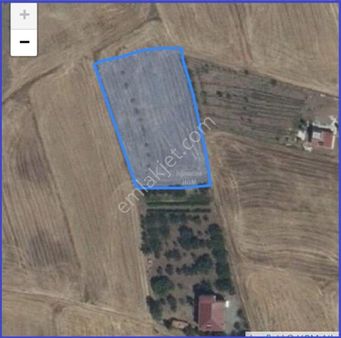 Alihan G.m.den Korucu (genefik) Bingöl Yolu Altı Baraj Kenarı Satılık Tarla