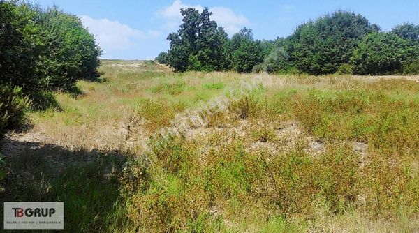 Tb Grup'tan Örencik Köyü'nde Satılık 11 Dönüm Arazi