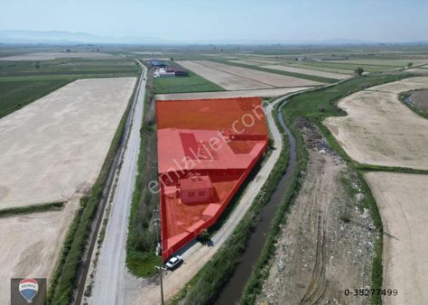 Söke Güllübahçe'de Yatırıma Uygun Tam Donanımlı Ruhsatlı Büyükbaş Hayvan Üretım Çıftlığı