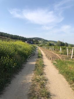 Manisa Y.çobanisa Da Bağ Hedef Gayrimenkul Den