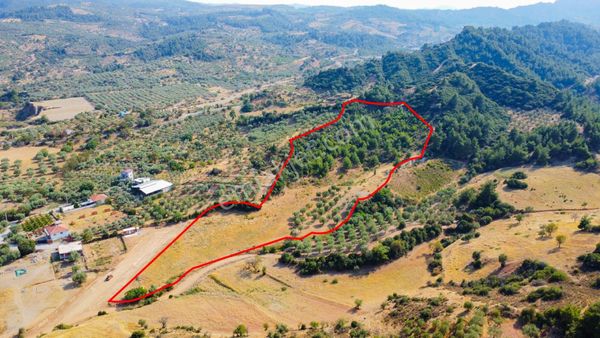 Turgutlu Çıkrıkçı’da 20.767 M² Satılık Arazi