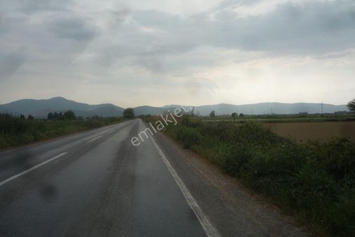 İzmir Torbalı Gold Emlaktan Satılık Verimli Tarla