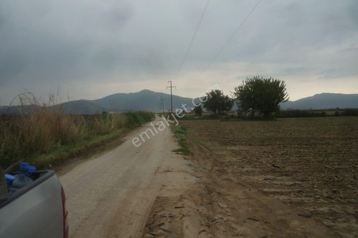 İzmir Torbalı Gold Emlaktan Satılık Verimli Tarla