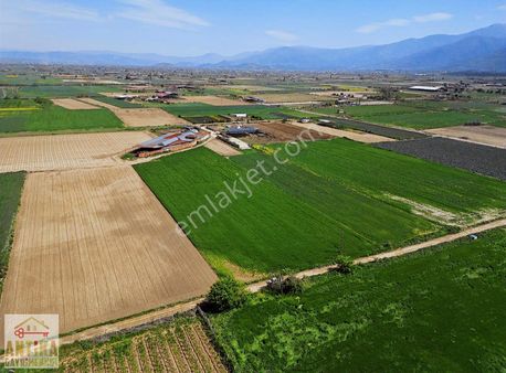 Antika Gayrimenkulden Balabanlı'da Satılık 4650 M² Satılık Tarla