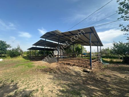 8. Mıntıka 3180 M2 Satılık Çiftlik