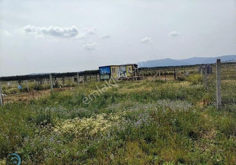 Develi De Satılık 193 M² Bahçe