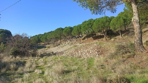 Tekirdağ Şarköy Kızılcaterzide Kontur Sitesinde