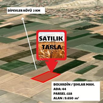 Yaman'dan Bolvadin Şıhlar Mahallesin'de Satılık Tarla