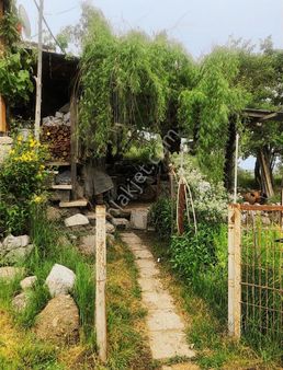 Balıkesir,in Eşsiz Doğasının Merkezinde Org Sanayiye Çok Yakın