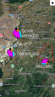 Yetişkin Kavak Olan Arazi Köye Yakın