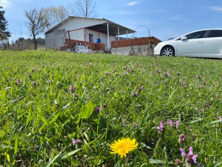 Hendek Dikmen Yaylasında 1.155 M2 Arsa İçinde Müstakil Ev