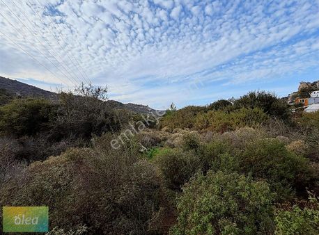 Bodrum Gündoğan'da Yatırımlık Fırsat Arazi