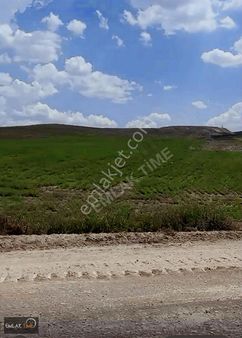 6900 Mt Arsa ------27 Adet 3+1 Daire ------çıkıyor