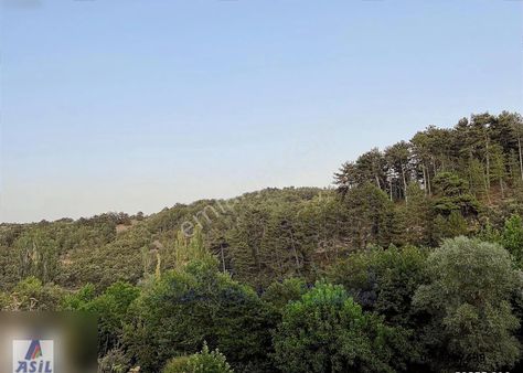 Ödemiş Horzum'da Satılık 616m2 Bahçe