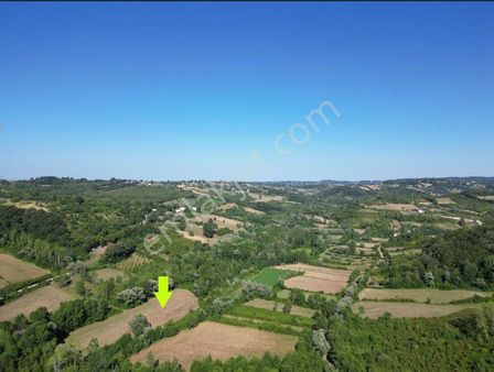 Sinop,yeniçam'da 10 Dönüm Satılık Tarla