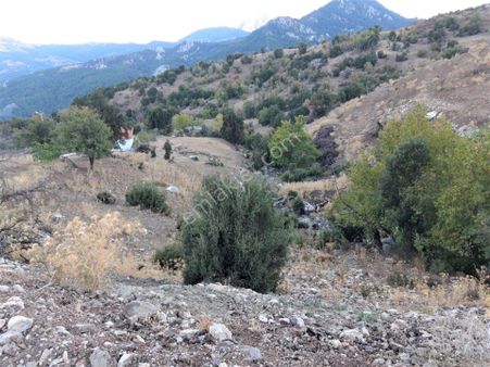 Konyaaltı Yarbaşçandırda 4 Dönüm Asfalt Yola Cephe Bölgenin En Uygun Arsası