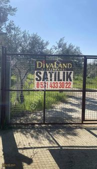 Efeler Kızılcaköy Yolu Üzeri Satılık Tarla