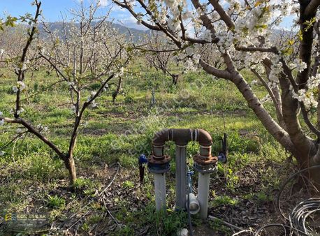 Ege Emlak Tan Satılık Kirazlık