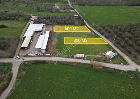 Kültür Mahallesinde Yatırım Fırsatı 900 M2 Satılık Tarla