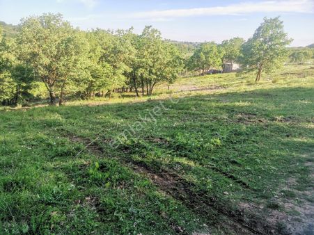Satılık Tarla