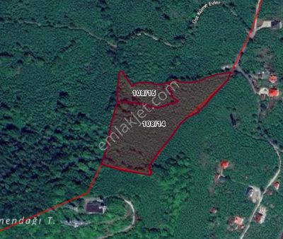 Delta Gayrimenkul'den Bulancak Samugüney De Fındık Bahçesi