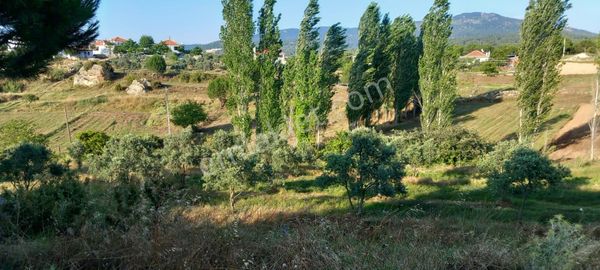 Ege'de Köy Hayali Kurana: İmarlı, Ev Yapılabilir 6.429 M² Tarla